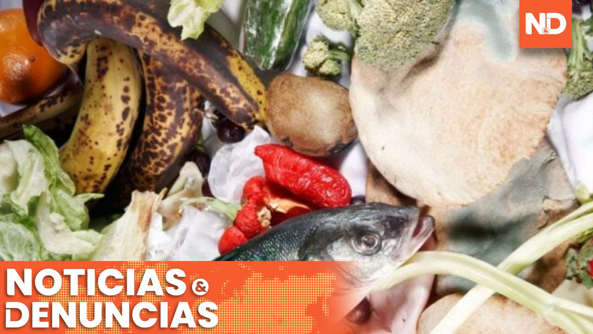 San Pedro Sula