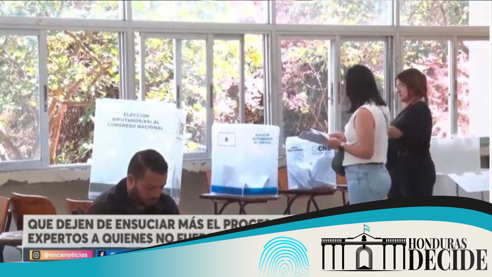 Expertos electorales políticos