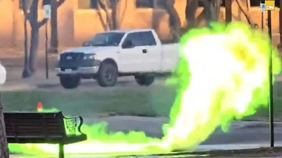 Video Texas llamas verdes